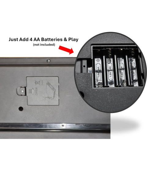 61-Key Electronic Piano Keyboard with Microphone & Speaker| 16 Tones, 10 Rhythms, 8 Percussions, Demo Modes & Song Recording | USB Powered Digital Piano for Kids (Black)