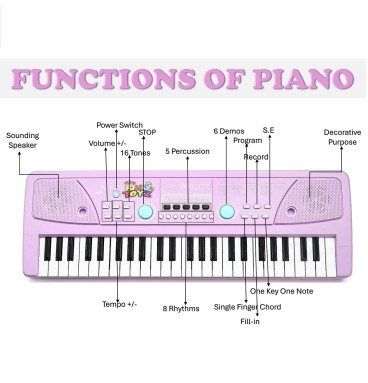 49-Key Electronic Keyboard Piano with Microphone |..