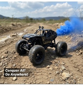 Remote Control Car for Kids with Mist Smoke Spray Function 2 WD Monster Truck Rock Crawler Climbing RC Toy Vehicle Car for Boys and Girls (Color as per stock)